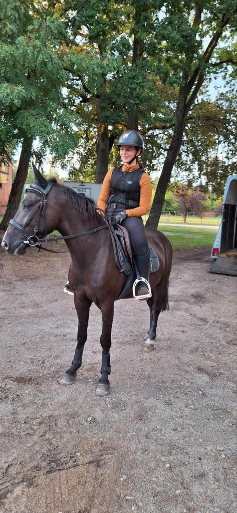Aparte spring pony, Dieren en Toebehoren, Pony's, Ruin