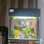 Paldarium (van amfibia in Kontich) 50x60x50, Animaux & Accessoires, Reptiles & Amphibiens | Accessoires, Comme neuf, Terrarium ou Paludarium