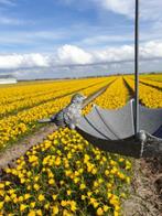 vogelvoederbakje , vogelbad , aanbieding, Ophalen of Verzenden, Nieuw