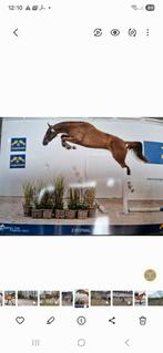 Stal  en weidegang  voor 1paard aangeboden, Tickets en Kaartjes