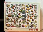 Puzzel fruits 1000 stuks nieuw, Hobby en Vrije tijd, Ophalen, Nieuw