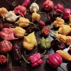 zaden pepers zeer pikante soorten, Tuin en Terras, Ophalen of Verzenden