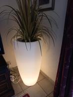 Plantenbak, Tuin en Terras, Ophalen, Kunststof, Rond, Zo goed als nieuw