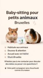 Garde animaux à bruxelles, Animaux & Accessoires, Hamster, Domestique, Janvier, Plusieurs animaux