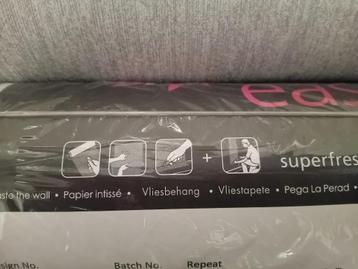 Behang, vliespapier grijs beschikbaar voor biedingen