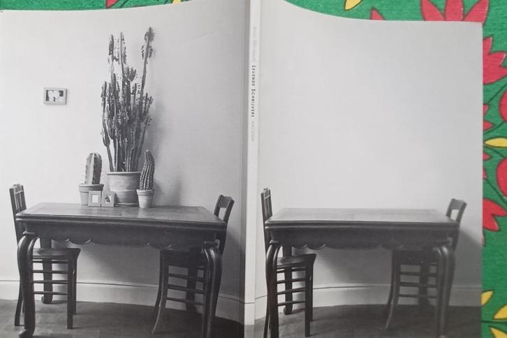 Levende schrijvers// Andy Huysmans// Portretten auteurs //, Boeken, Literatuur, Ophalen of Verzenden
