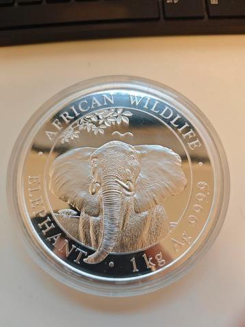 Kilomunt Somalia Elephant 1 kilo zilveren munt 2021 beschikbaar voor biedingen