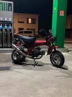 DAX B-klasse, Neuf, Autres modèles, 4 vitesses, 49 cm³