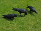 bronzen raaf wandbeeld (3), op ware grootte!, Tuin en Terras, Ophalen of Verzenden, Nieuw