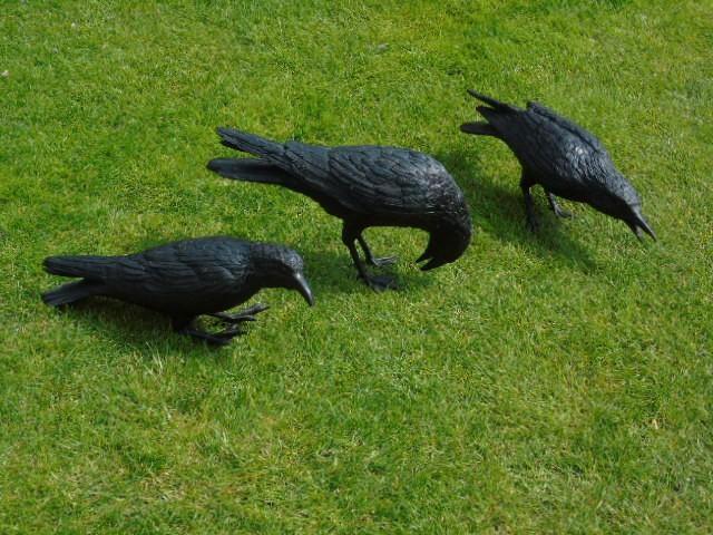 statue murale ( 3 ) corbeau en bronze , taille réel !, Jardin & Terrasse, Décoration murale de jardin, Neuf, Enlèvement ou Envoi