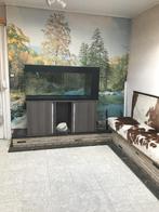 Aquarium met kast, Hobby en Vrije tijd, Ophalen, Gebruikt