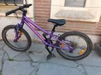 20" MTB-type kinderfiets, Fietsen en Brommers, Ophalen, Zo goed als nieuw, 16 tot 20 inch, Specialized