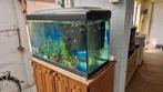 Aquarium, Dieren en Toebehoren, Ophalen, Zo goed als nieuw
