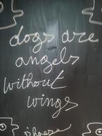 Hannes D'Haese Lyrics “Dog's are Angels”, Enlèvement ou Envoi