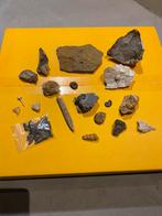 Collection de fossiles, Fossile, Enlèvement ou Envoi