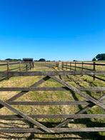 Paardenweide te huur, Weidegang, 2 of 3 paarden of pony's