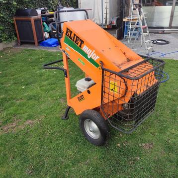 Eliet Major  beschikbaar voor biedingen