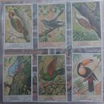 Liebig "klimvogels", Enlèvement ou Envoi, Comme neuf, Animal, Gravure