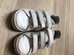 Basket Adidas, Ophalen, Gebruikt, Schoenen