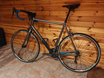 Canyon Endurance AL 7.0 2XL beschikbaar voor biedingen