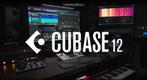 Steinberg Cubase PRO 12, Muziek en Instrumenten, Overige Muziek en Instrumenten, Ophalen of Verzenden, Nieuw