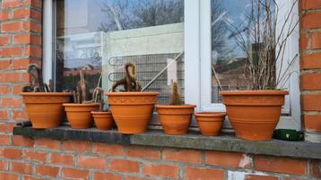 Terracotta bloempotten (8), Tuin en Terras, Ophalen, Gebruikt