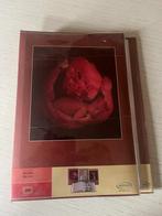 fotoalbum Anne Geddes, Ophalen, Zo goed als nieuw, Fotoalbum