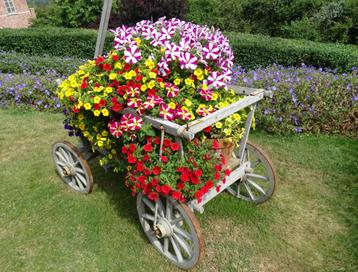 Mooie bloemenkar, Ophalen, Gebruikt