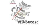 Citroën Berlingo (1/19-) voorbumper chromelijst midden (te s, Auto-onderdelen, Citroën, Nieuw, Bumper, Verzenden