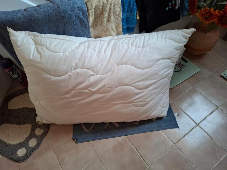 oreiller- Coussin de dos - 70 x 100 avec 2 taies, Huis en Inrichting, Slaapkamer | Beddengoed, Zo goed als nieuw, Kussen, Ophalen