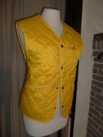 Gele dames bodywarmer small. equilook, Kleding | Dames, Bodywarmers, Ophalen of Verzenden, Zo goed als nieuw