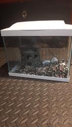 Aquarium superfish 20, Dieren en Toebehoren, Vissen | Aquaria en Toebehoren, Ophalen, Gebruikt