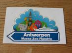 Antwerpen Musea Zoo Flandria 12,5 x 8 cm Sticker, Verzamelen, Ophalen of Verzenden, Nieuw, Overige typen