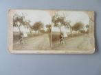 1890,s Stereofotografie Tous le monde en Vélo Fiets kind, Verzenden, Voor 1940, Zo goed als nieuw, Kind