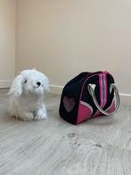 Hondenknuffel met tasje, Ophalen, Gebruikt, Hond