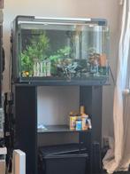 Aquarium, Dieren en Toebehoren, Vissen | Aquaria en Toebehoren, Ophalen, Zo goed als nieuw