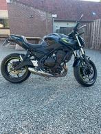 Kawasaki Z650 / 2024 - 1600km, Motoren, Motoren | Kawasaki, 649 cc, Particulier, Meer dan 35 kW, Minimaal motorrijbewijs A2