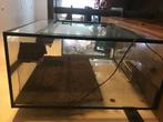 Terrarium, Dieren en Toebehoren, Ophalen, Gebruikt, Terrarium of Paludarium