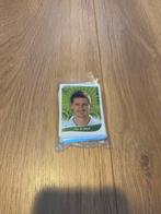 IMMENS VEEL DUBBELS PANINI FOOTBALL PRO LEAGUE 2009, Collections, Enlèvement ou Envoi, Comme neuf, Autres types