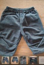 Broekje ´velours´ met rekkerband P´tit Filou maat 68, Enlèvement ou Envoi, Utilisé, Pantalon