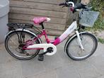 Kinderfiets 20 inch, Fietsen en Brommers, Fietsen | Kinderfietsjes, Ophalen, Gebruikt