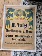 H. Vaigt Grösste Kanarienzüchterei Deutschlands - linen, Verzamelen, Posters, Ophalen, Rechthoekig Staand, Zo goed als nieuw, A1 t/m A3