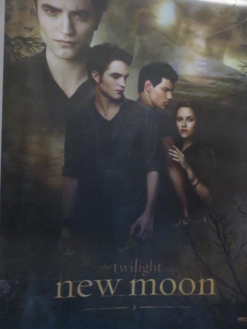 3D Poster - Twilight : New Moon - Jacob - Bella - Edward, Verzamelen, Posters, Zo goed als nieuw, Film en Tv, Rechthoekig Staand