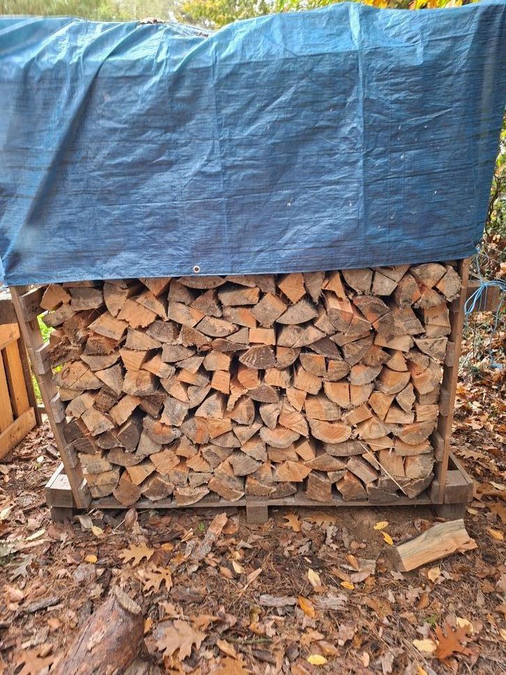 brandhout spar den stook klaar, Tuin en Terras, Brandhout, Stammen, Ophalen