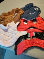 Jasjes honden, Ophalen