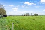 weiland met schuilhok, Dieren en Toebehoren, Stalling en Weidegang, Weidegang