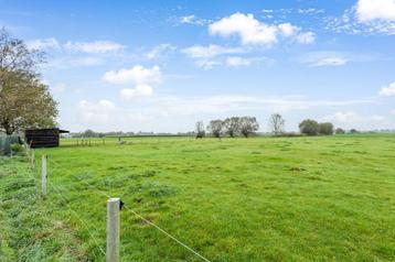 weiland met schuilhok beschikbaar voor biedingen