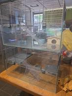 A vendre deux cages pour Rongeur 40€ pièce, Enlèvement, Utilisé