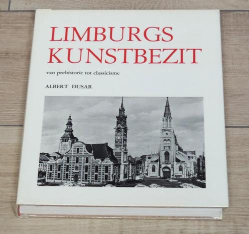 Collection d'art du Limbourg, par Albert Dusar, Livres, Art & Culture | Arts plastiques, Comme neuf, Enlèvement ou Envoi
