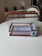 Cage oiseau, Enlèvement